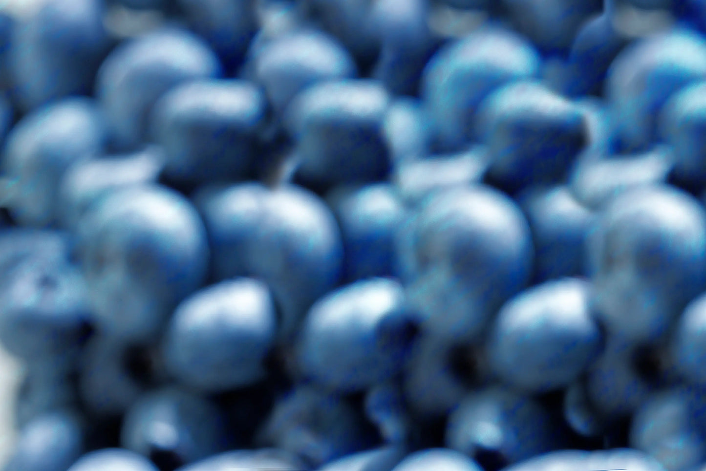 Blueberries Nº 6