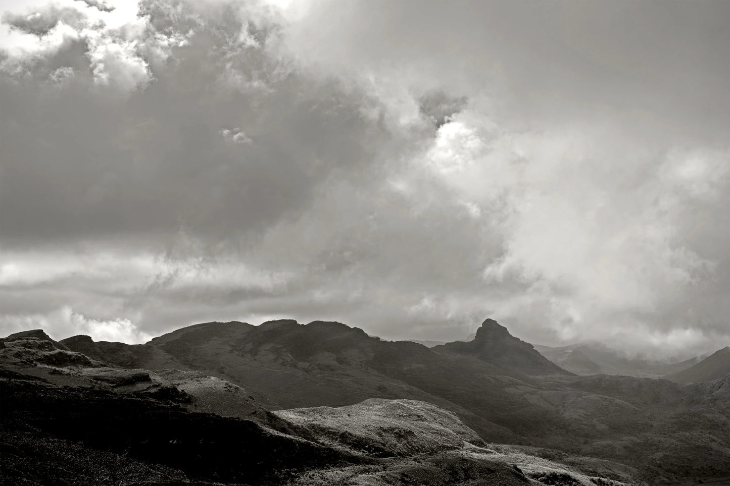 Light at the Mountains - Páramo de Chingaza, Cordillera Oriental