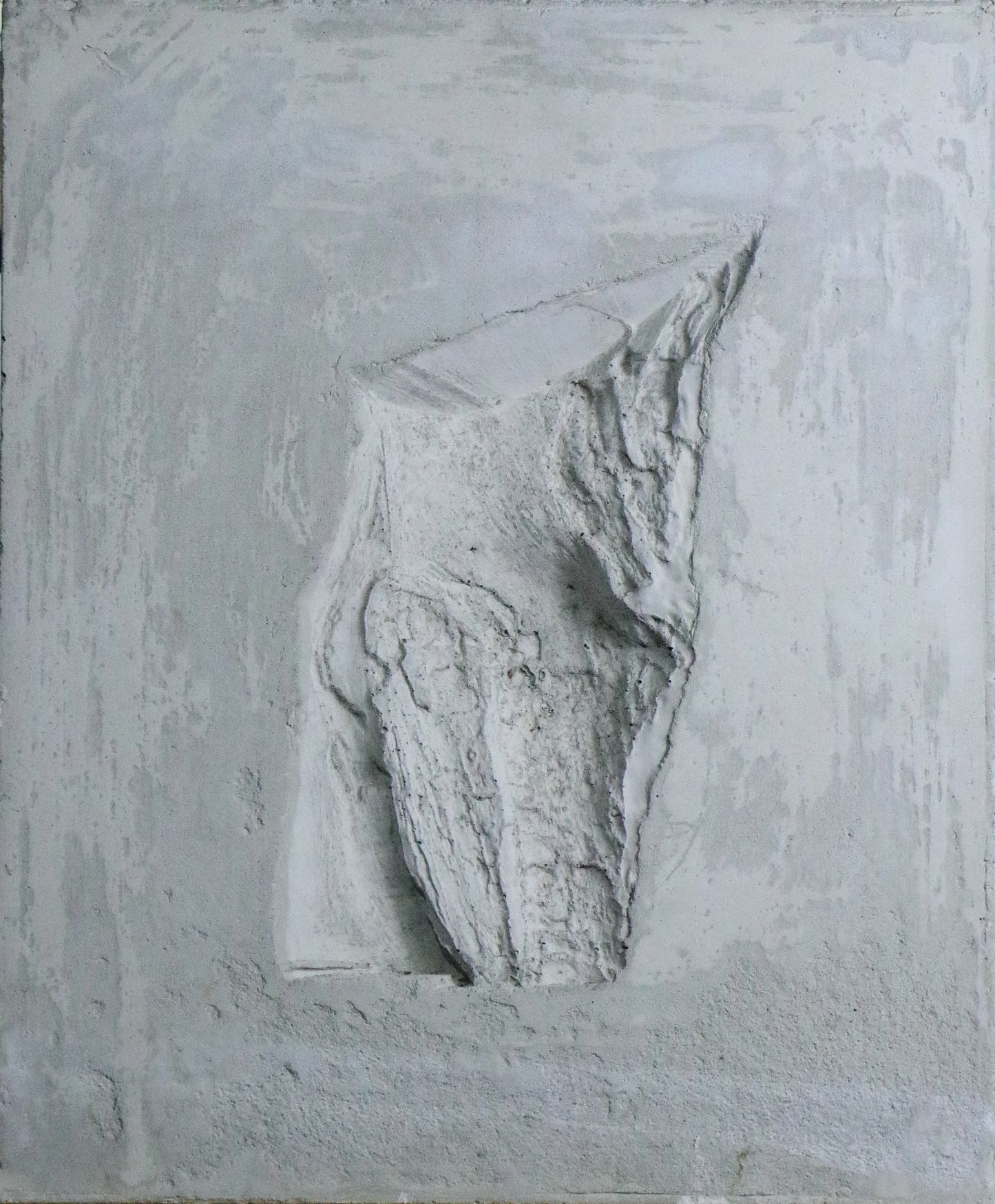 Ausencia arbórea 3