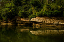 Reflejos del Edén