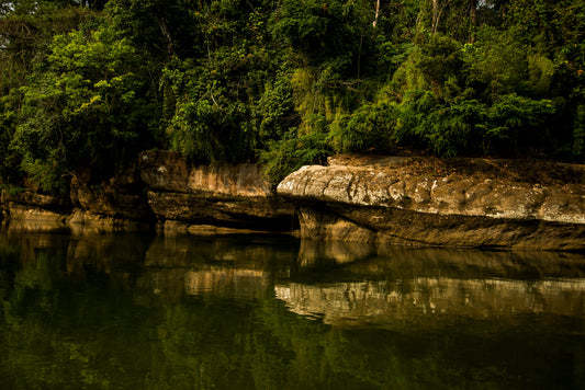 Reflejos del Edén