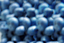 Blueberries Nº 6