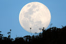 Luna paramuna