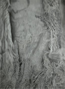 Espectro arbóreo 2 (detalle de corteza grande)