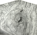 Espectro arbóreo (detalle de corteza, composición piramidal)