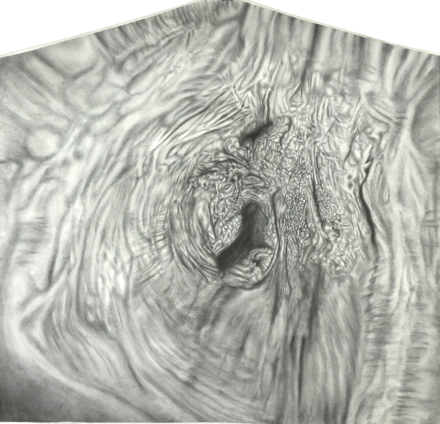 Espectro arbóreo (detalle de corteza, composición piramidal)